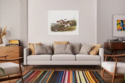 Marmot Squirrel Spermophilus lateralis  Reproduction