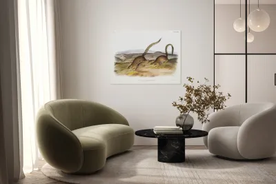 Annulated Marmot Squirrel Spermophilus annulatus  Reproduction