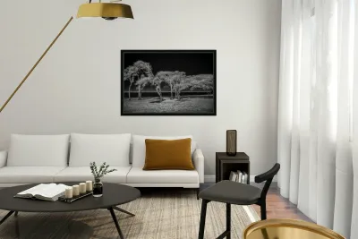 Enchanted Canopy: Exploring Gulf Shores Mystical Oaks Reproduction