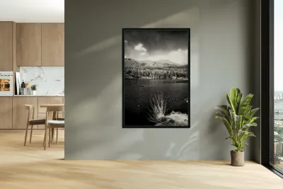 Whispers in the Wilderness: Sprague Lake Reproduction