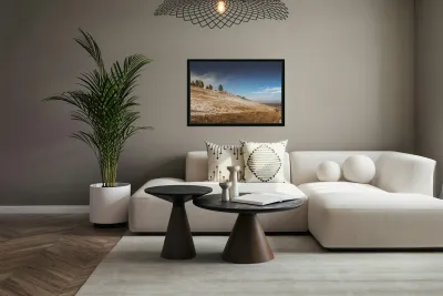 Chautauqua Chronicles: Pines on a Hill Reproduction