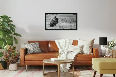 Shaggy Symmetry Reproduction