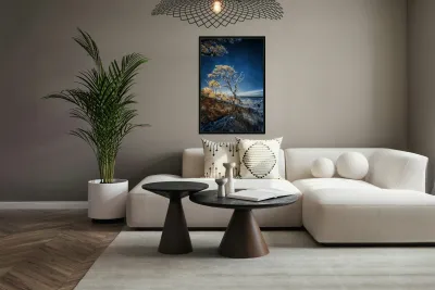 Blue Bonsai: A Botanical Marvel Unveiled on Driftwood Beach Reproduction