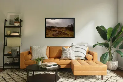 Triangular Fields Path Reproduction