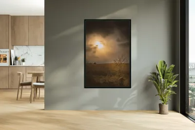 Golden Light Revelation Reproduction