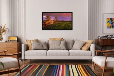 Sunset Fence Reproduction