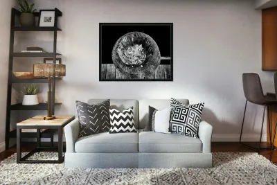 Echoes Within Wood Reproduction