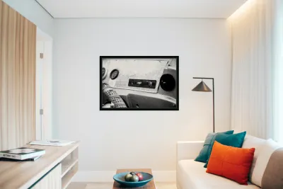 Shipshape Decay: Close-Up Captures Reproduction