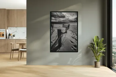 Gulf Coast Barrier Reproduction