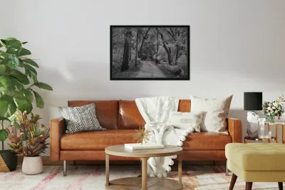 Shadows of Bulow Reproduction