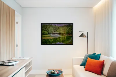 Aqua Symphony: Sholom Park Florida Reproduction