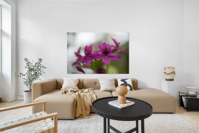 Shooting Star Reproduction