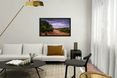 Jockey Ridge State Park Reproduction