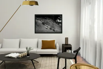 Dunes Shadow Symphony Reproduction