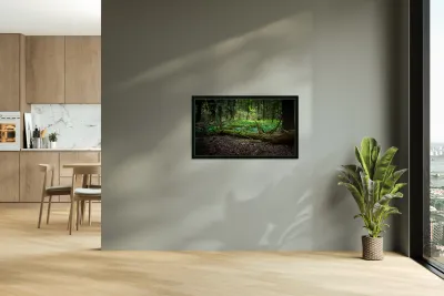 Whispers of the Ancient Forest Reproduction