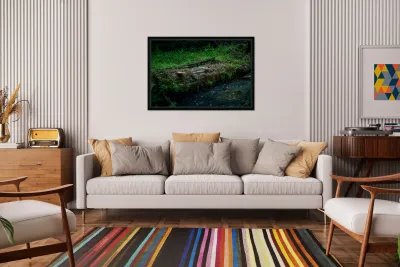 Fungi and Dirty Pool Reproduction