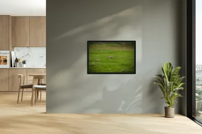 Wild Encounters: The Watchful Eye Reproduction