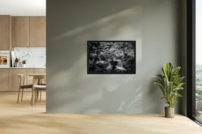 Bismarcks Silver Dance Reproduction