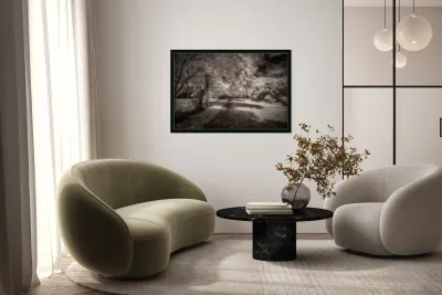 Invisible Texas Trail Reproduction