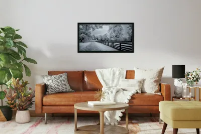 Whispers of Time: A Weathered Road Along Appomattox Courthouse Towns Fences Reproduction