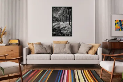 Enchanted Pathways: A Monochrome Overture Reproduction