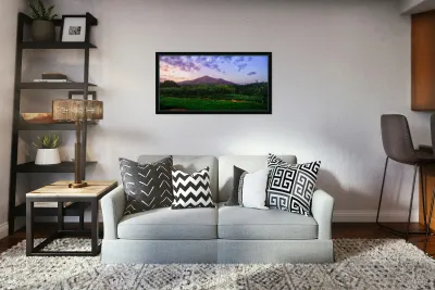 Light Peaks of Otter Reproduction