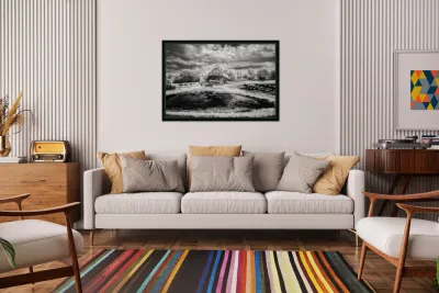 Ethereal Oasis: A Day at Bodega Winery Reproduction