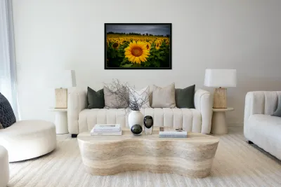 Single Sunflower Reproduction