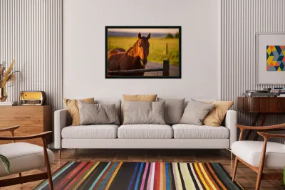 Equestrian Elegance: Ernie at Sunset Reproduction