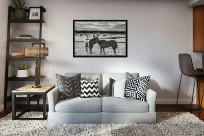 Equine Connection Reproduction