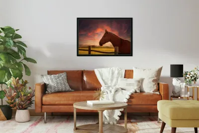 Ernie at sunset Reproduction