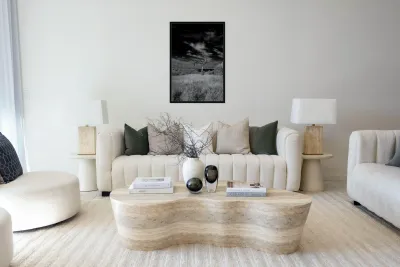 Symphony of Light and Shadow Reproduction