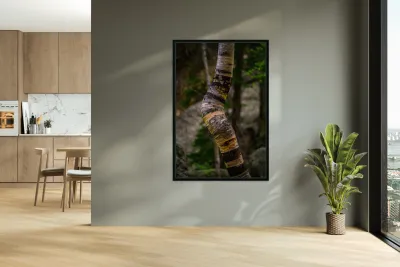 Exploring Sylvan Lake: Capturing the A Bent Aspen Reproduction