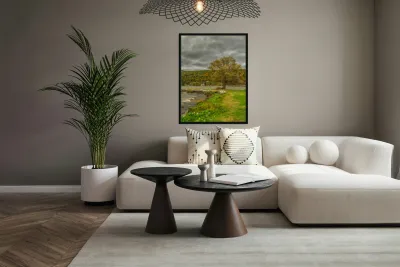 Lake Seneca Storm Reproduction