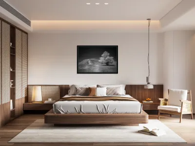 Silent Beauty: Navigating the Badlands Reproduction