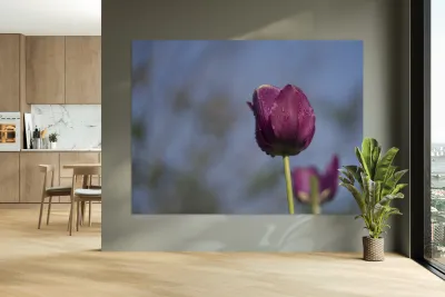 Lady in Purple Reproduction