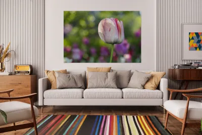 Looking Good Reproduction