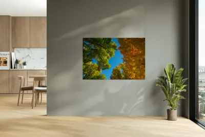 Autumns Radiant Canopy -  A Skyward View Reproduction