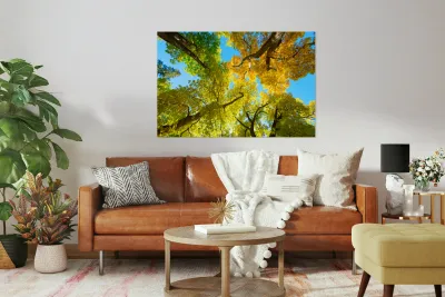 Vibrant Autumn Landscape - Colorful Trees under Blue Sky Reproduction