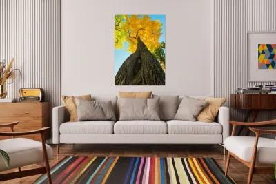 Golden Autumn Tree - Majestic Trunk and Leaves in Fall Splendor Reproduction