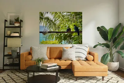 Bird Couple Koh Tao Thailand Reproduction