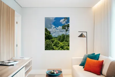 Kabili Sepilok Forest Reserve 1 Reproduction