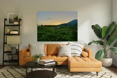 A Horse at Sunrise Jeju South Korea Reproduction