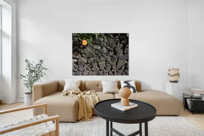 The Black Wall and the Orange Flower Jeju Korea Reproduction