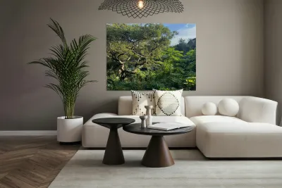 Around Jeju City South Korea 8 Reproduction