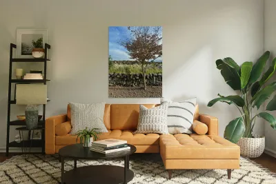 Stone Park Jeju South Korea 6 Reproduction