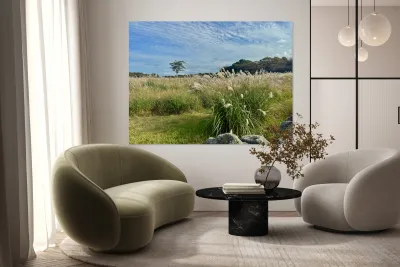 Stone Park Jeju South Korea 2 Reproduction