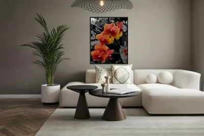 Orchids 4 Reproduction