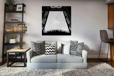 Birds-Eye View Reproduction