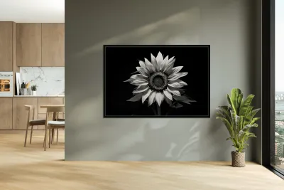 Stillness in Bloom – Monochrome Flower Reflection Print Reproduction